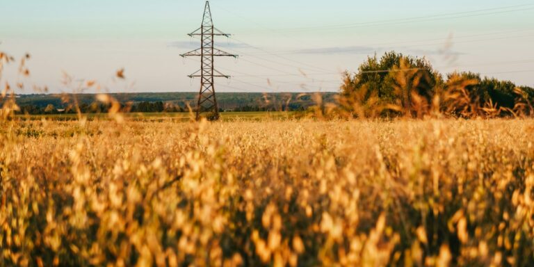 Linii de transport al energiei electrice, imagine ilustrativă; nu reprezintă CNE Cernavodă